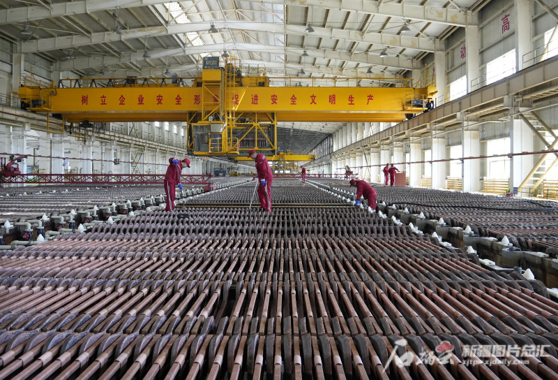 新疆五鑫銅業上半年產量同比增長20.48%_騰訊新聞