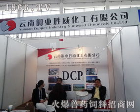 跨界融合 云南銅業勝威化工亮相中國飼料工業展覽會，展現銅業化工應用新潛力